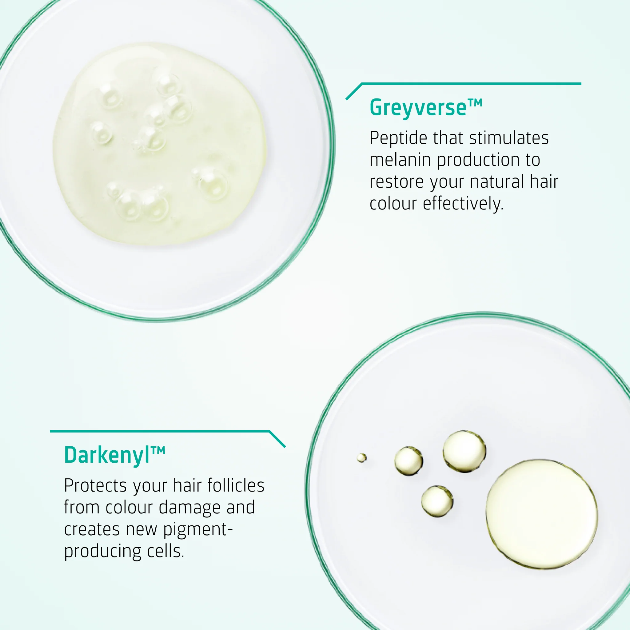 Anti Grey Hair Serum - Image 3