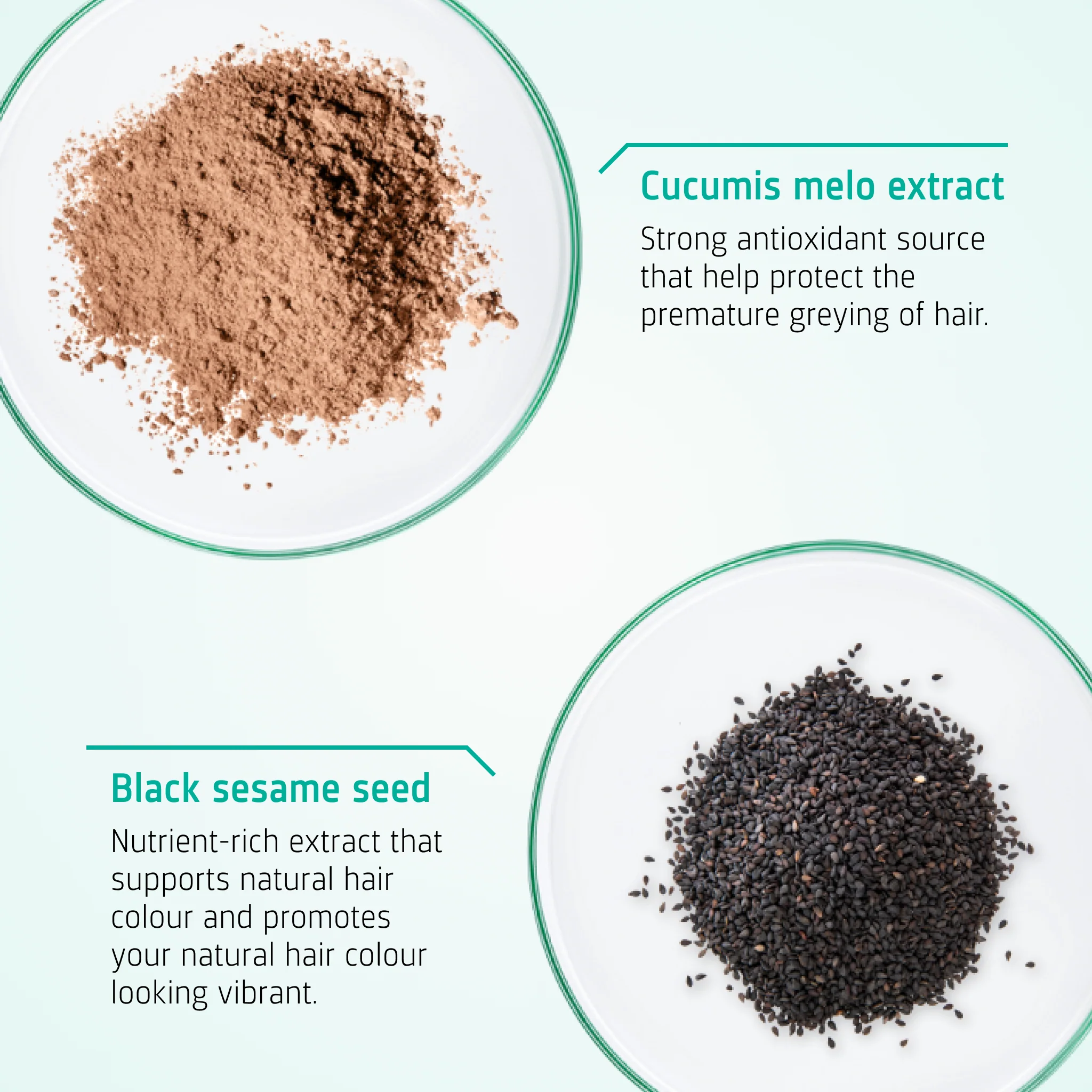 Anti Grey Hair Shampoo - Image 3