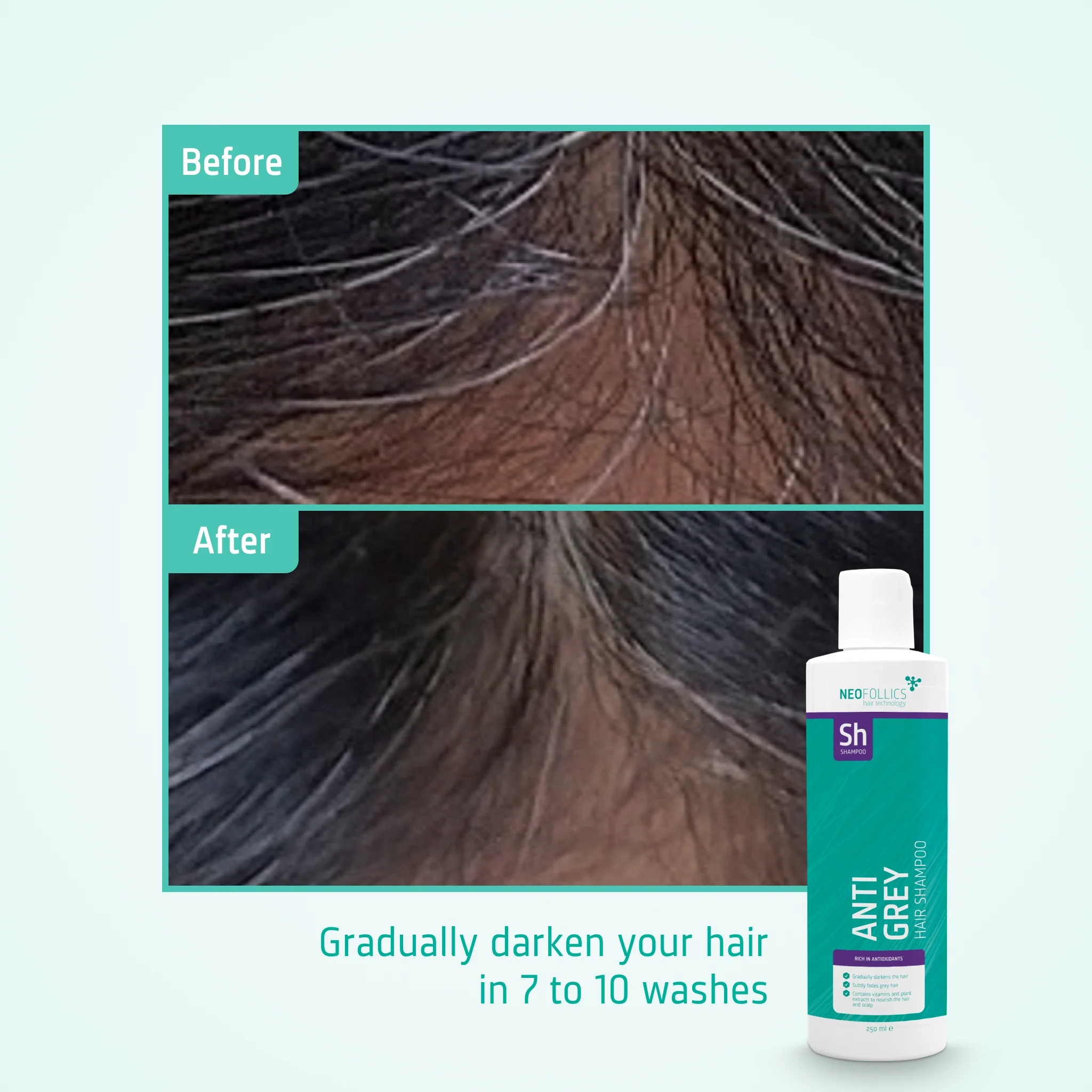 Anti Grey Hair Shampoo - Image 5