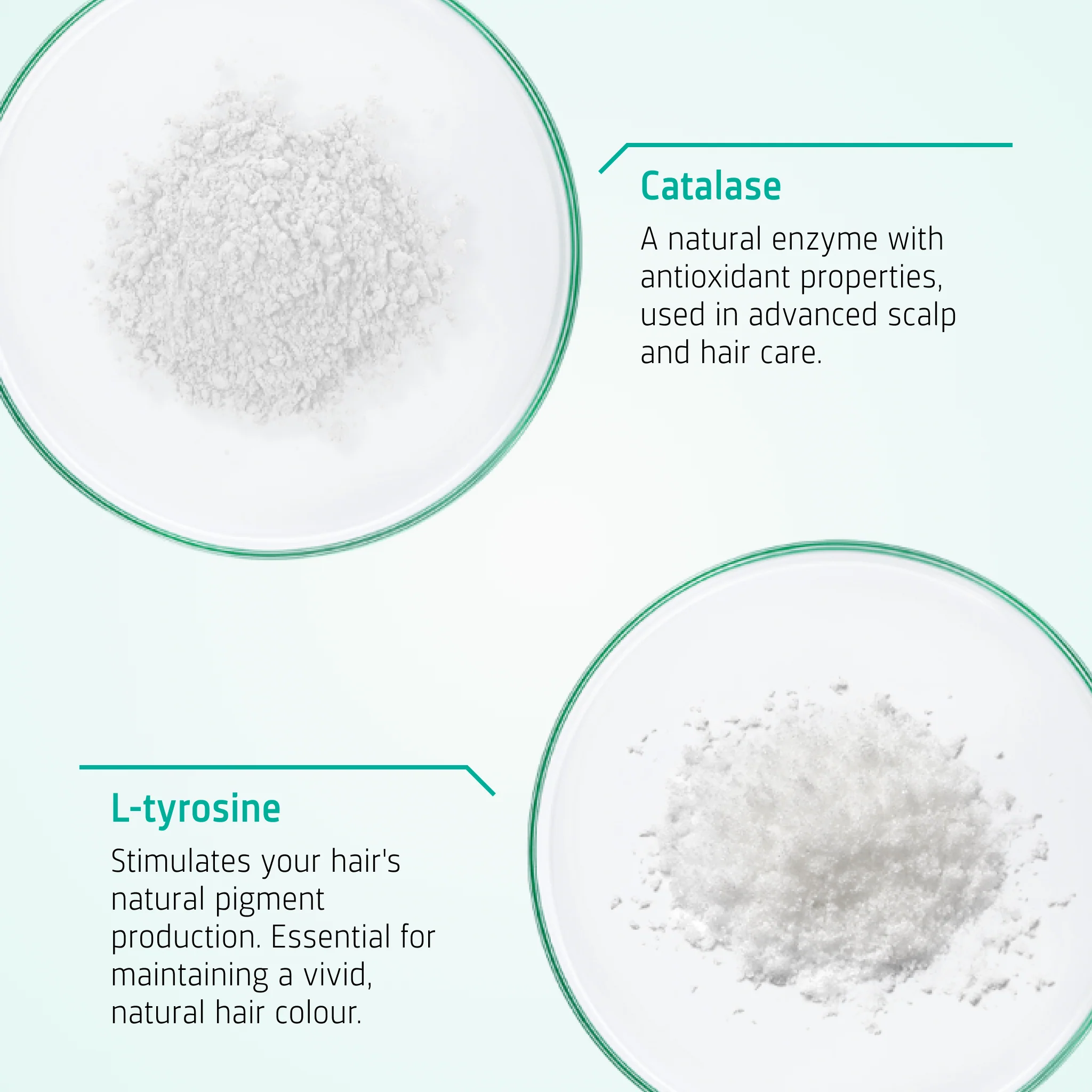 Anti Grey Hair Tablets - Image 3