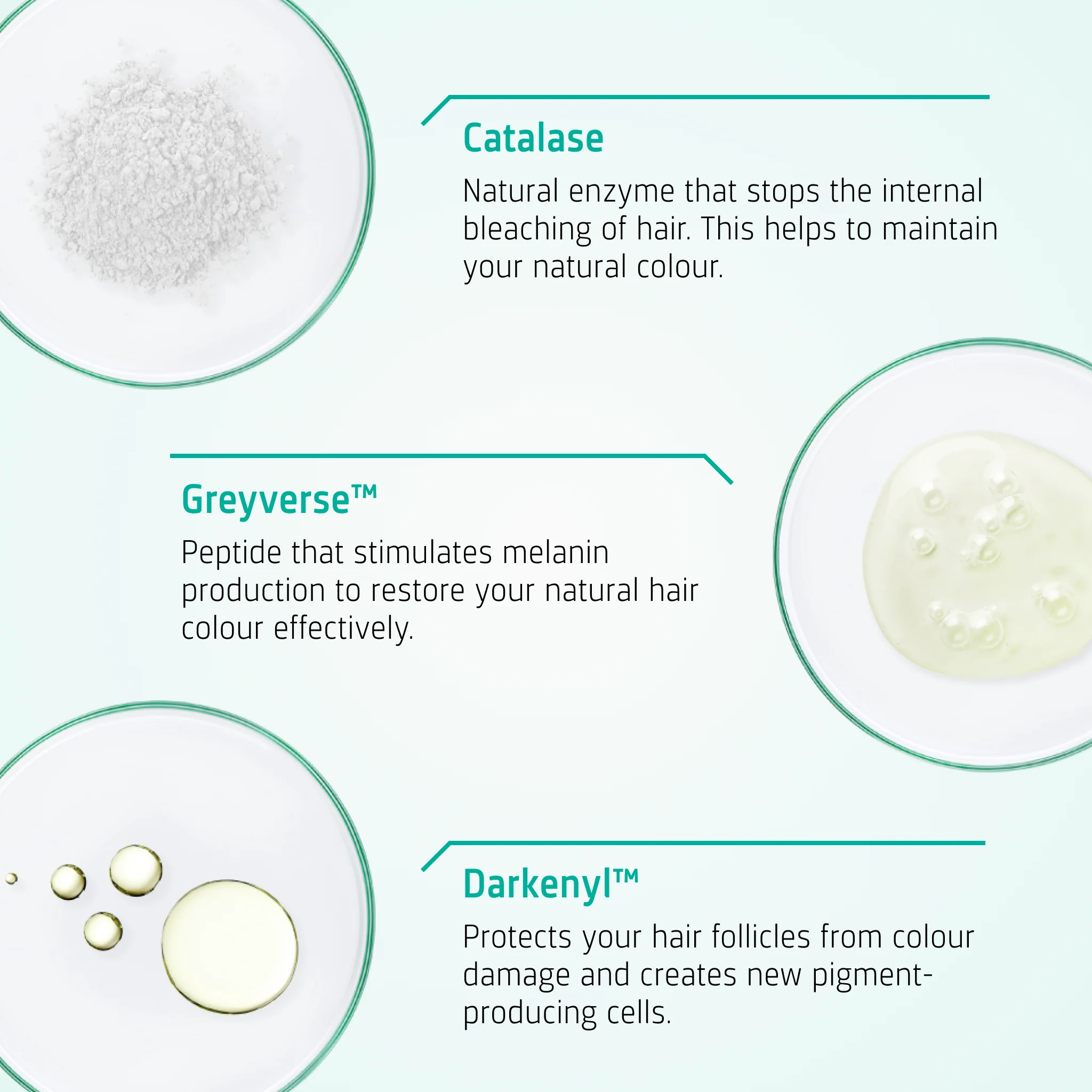 Neofollics Anti Grey treatment - Image 3