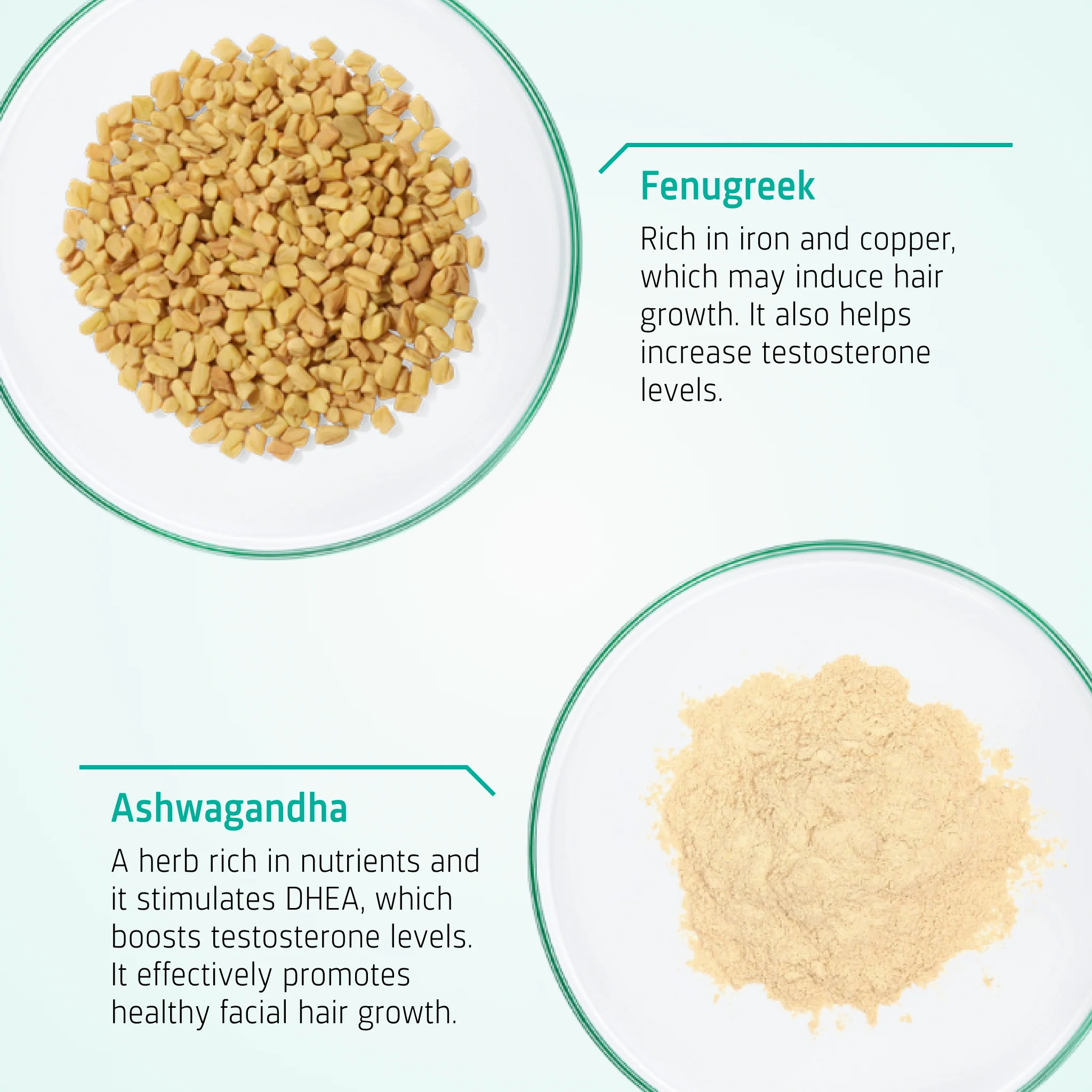 Beard Growth Supporting Tablets - Image 3