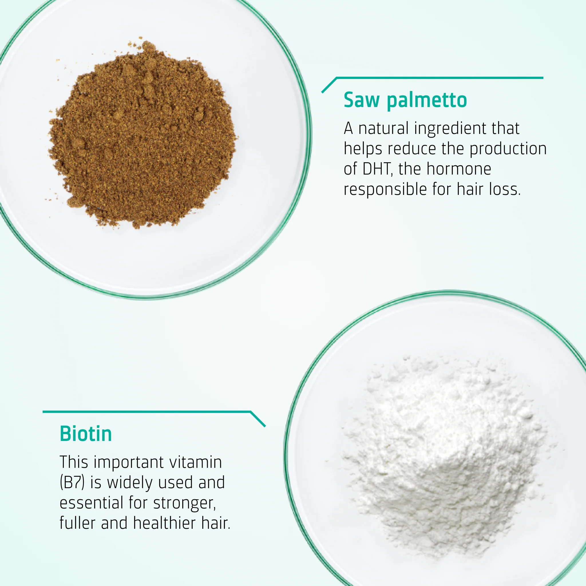 Hair Growth Supporting Tablets - Image 3