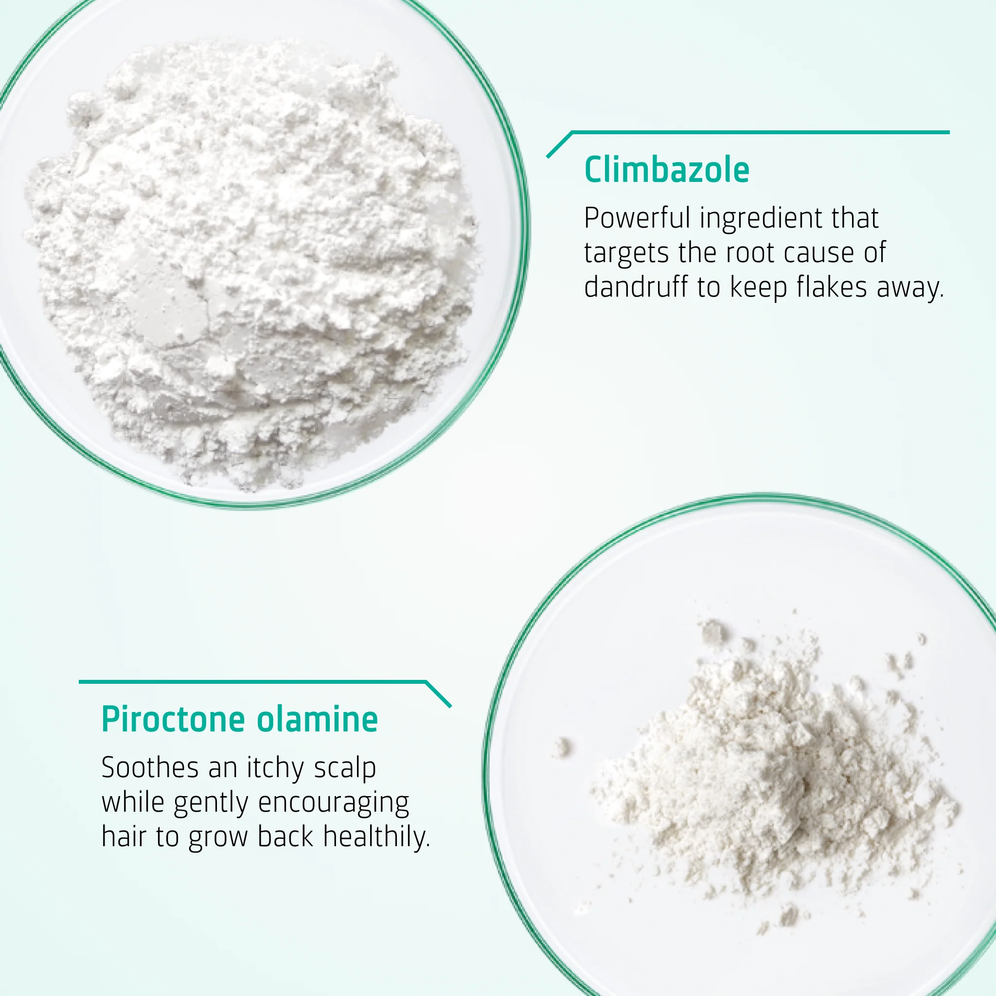 Scalp Therapy Exfoliating Shampoo - Image 3