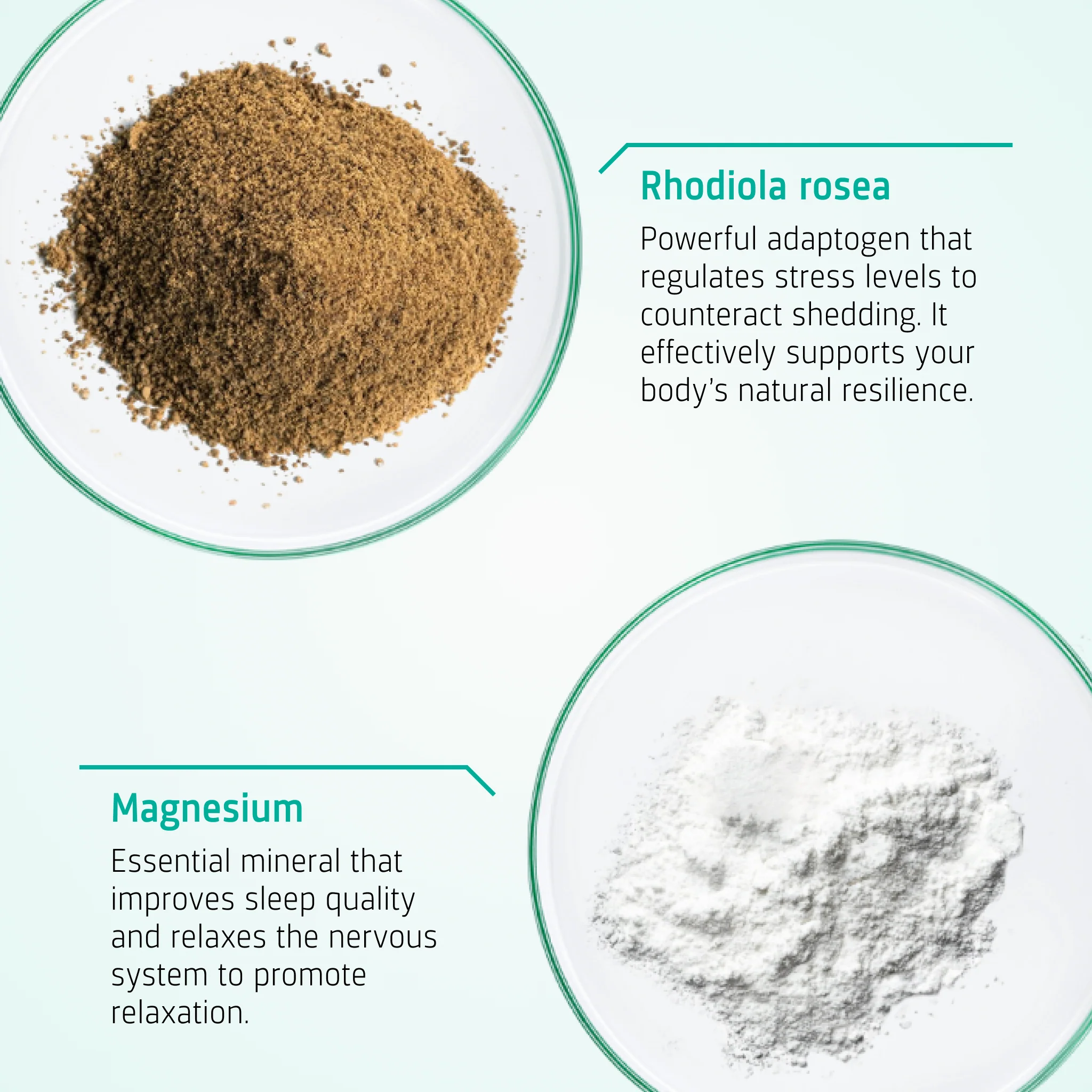 Stress Balancing Hair Tablets - Image 3
