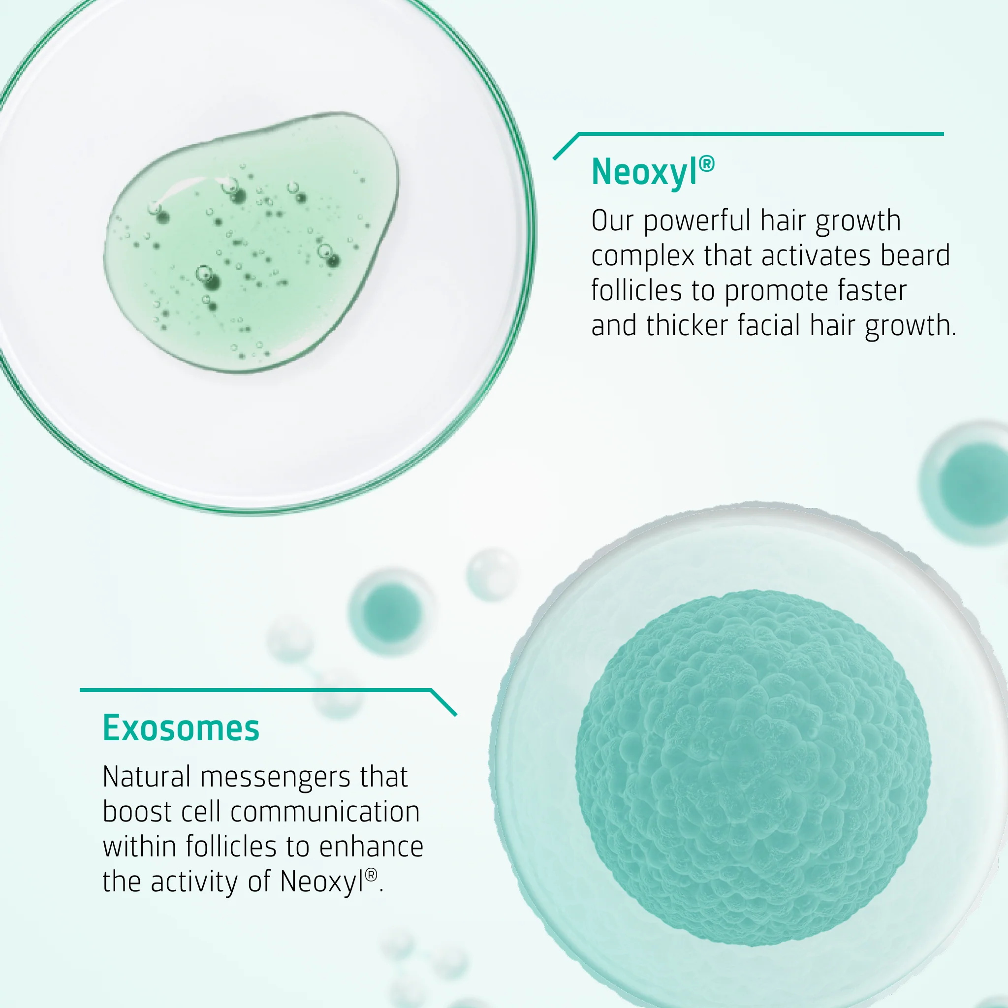 Beard Growth kit - Image 3