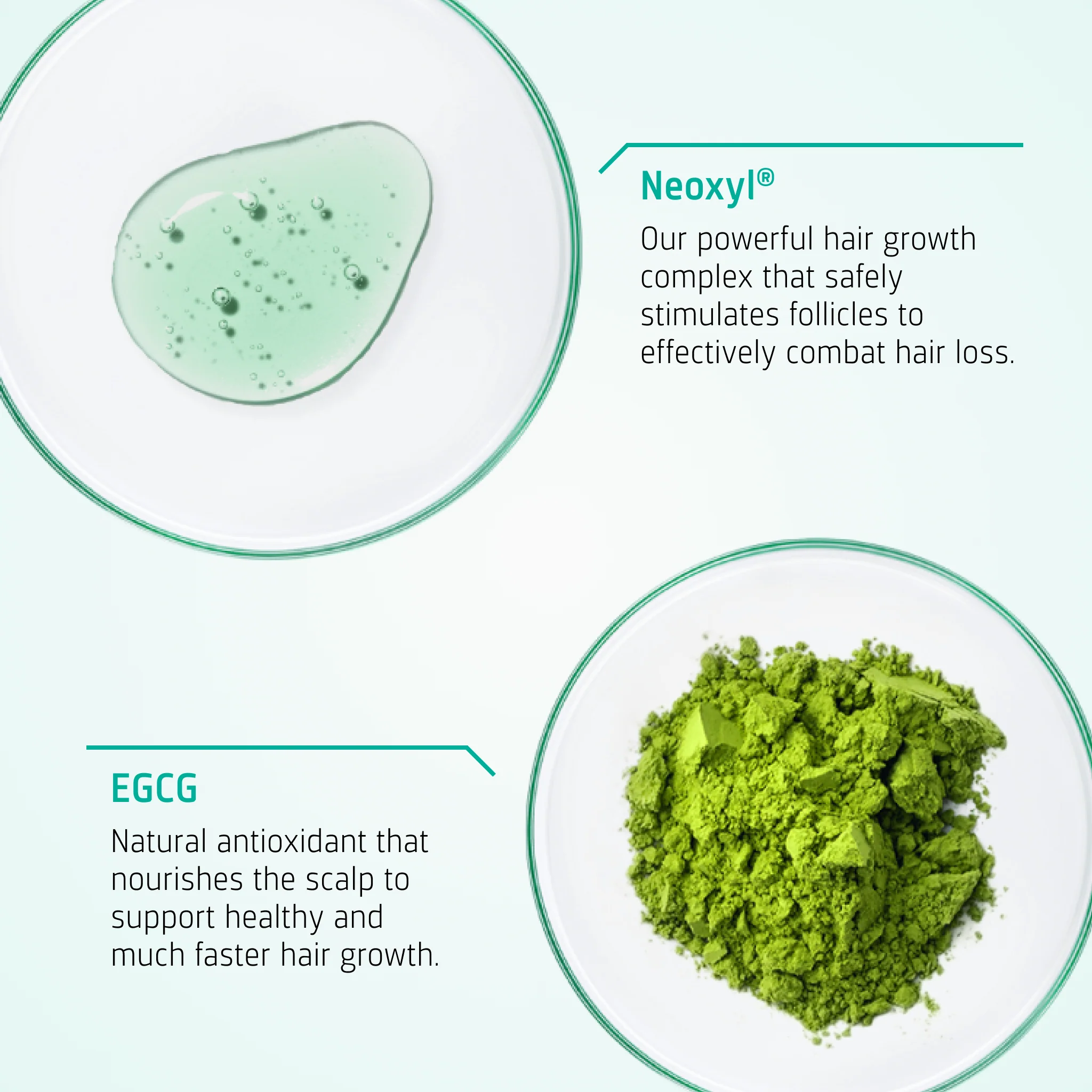 Hair Growth kit - Image 3