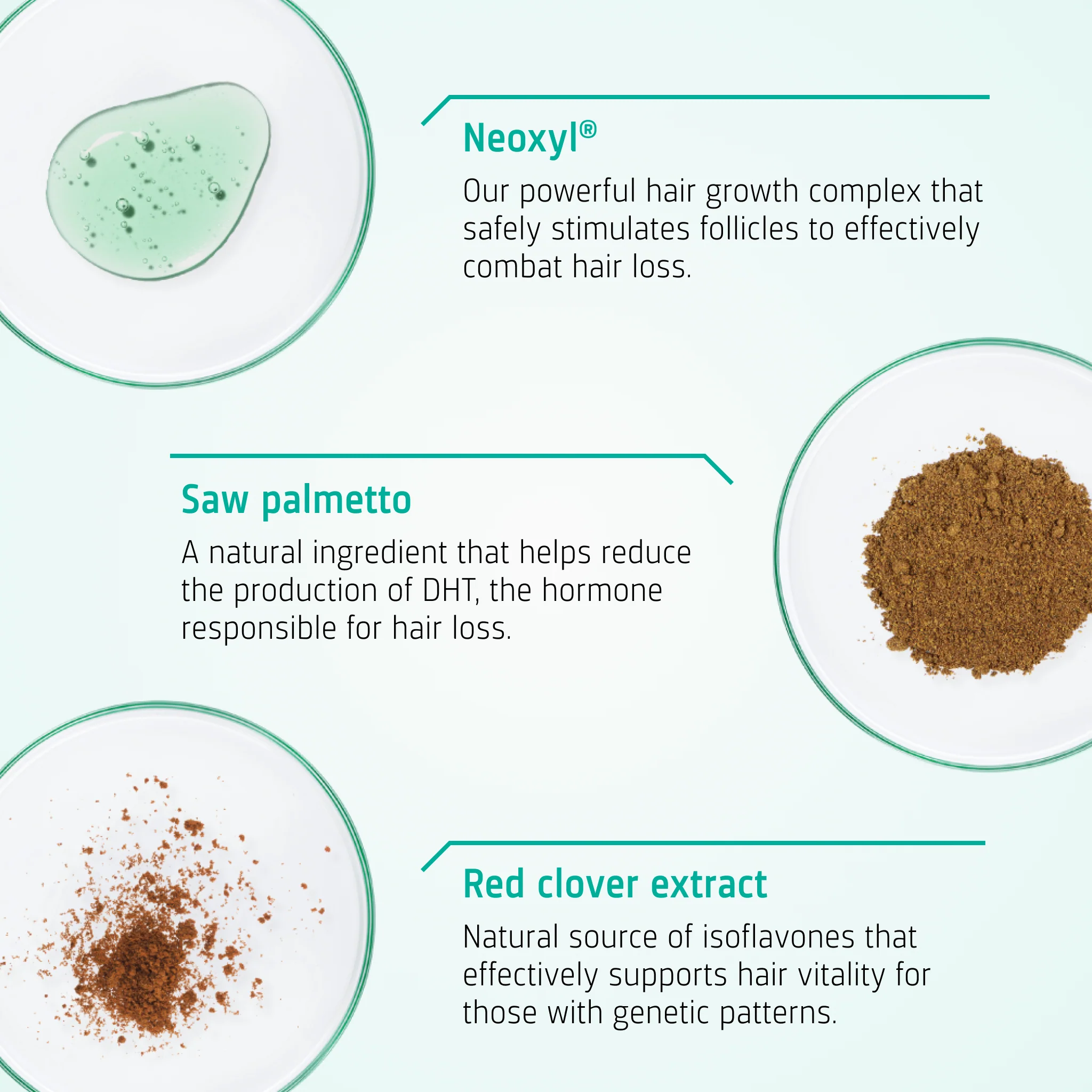 Androgenetic Alopecia treatment - Image 3