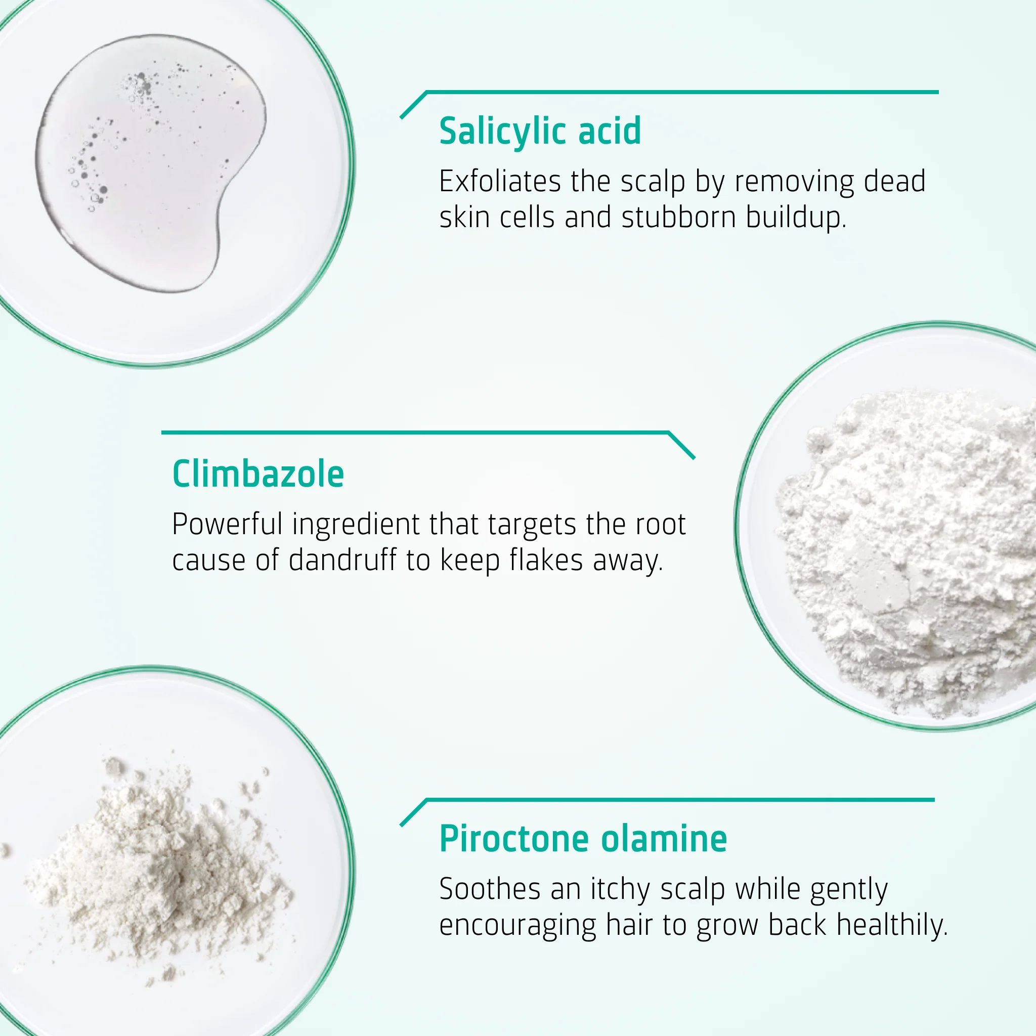 Neofollics Healthy Scalp treatment - Image 3