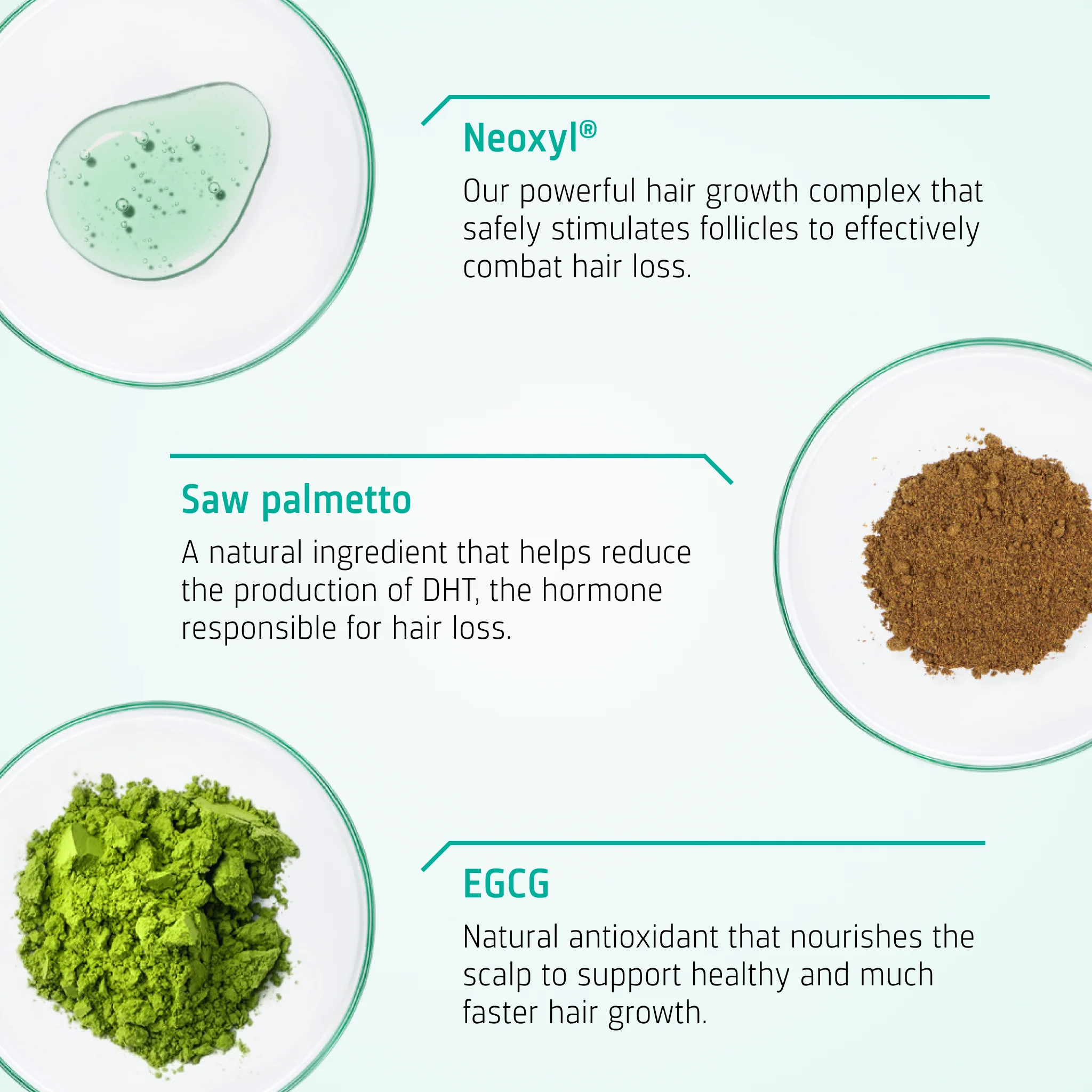 Moderate hair loss treatment - Image 3